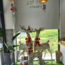 리프패럿진주점 이미지