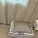 모안펜션 이미지