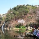 두드림난타 | 30년 만에 다시 만난 두드림의 전율, 2026 서대문 봄빛축제 ‘오리지널 난타’ 관람기