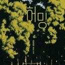 책 읽음 12