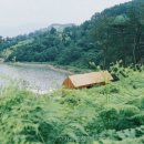 고사리맨션이 | 고사리맨션 선택 전 볼 핵심 정보와 조건