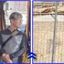 홍도축사 이미지