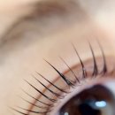 선브로우 이미지