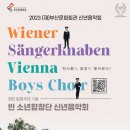 신년공연 「빈소년합창단 신년음악회」 이미지