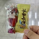 자연과학유치원 | 청주 아이랑 가볼만한 곳 충북수학체험센터