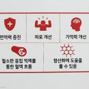 (주)하루웰빙 네이버블로그