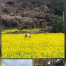 흥산농장 이미지