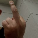 디자인珍진 이미지