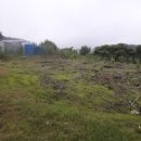 정일품농장 이미지