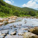 키즈 팰리스 이미지