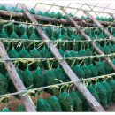 한국건강원 이미지