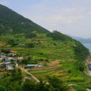 상주유자랜드 이미지