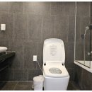 파니아토 이미지