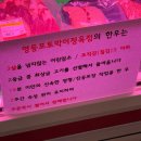 영등포토박이정육점