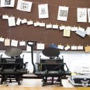 파주 나비나라박물관 이미지