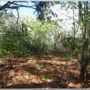 매봉산4 이미지