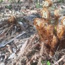 양동농장 이미지