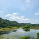 진안읍 1162 이미지