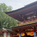 학운식당 | 🇯🇵2일차 <후쿠오카3박4일> 2일차일정 마이리얼트립 유후인버스투어