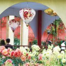 인공 + 자연 이미지