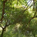 홍길동 농장 이미지