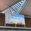 다가전잡화 | [일본/삿포로] 3박 4일 자유여행 (4) 삿포로 시계탑, GU 쇼핑, 라멘 요코초 이치쿠라, 돈키호테 아이...