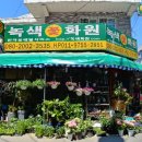 녹색꽃화원 이미지