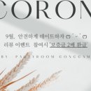 파티룸 공감 이미지