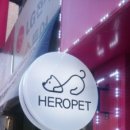 강남고양이 분양 히어로펫 이미지