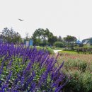 천문공원 이미지