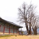 나주향교 이미지