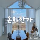 [청도] 독채 감성 숙소 온화한가