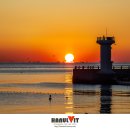 동선새바지 이미지