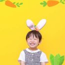 룩스스튜디오