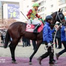 그레이트 이미지