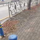 강청수변공원 | 순천 파크골프장 입장권 세트