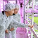 중동농장 이미지