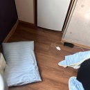 코끼리휴병원 | 개금미래여성병원 유도분만 성공 후기 + 1인 입원실 2박3일 회음부통증X