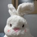 발리실내스크린골프연습장 이미지