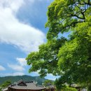 장가네 한우곰탕 이미지