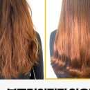 라하 헤어 이미지