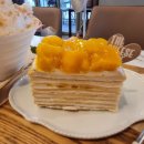 커피인더스토리