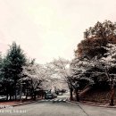 금호로 이미지
