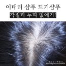 이태리천연샴푸 비듬 각질 없애는 클린업 드기샴푸 사용해 봤어요