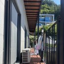 울릉푸른나무 이미지