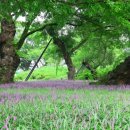 성밖숲정보센터 이미지