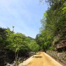 추풍령옛고개 | 문경새재 과거길: 제1관문(주흘관), 제2관문(조곡관), 제3관문(조령관), 연풍새재