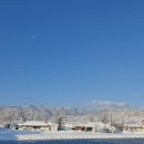 간성시장 이미지