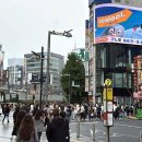 더핑크퐁컴퍼니 주식회사 이미지