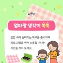 김밥친구들 - 춘천시 만천로 155 | 김밥친구들